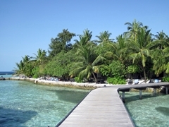 Steg Wasserbungis